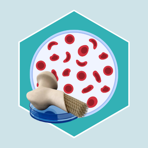 Best-Hematology-Doctors-Best-Bone-Marrow-Transplant-Unit.png